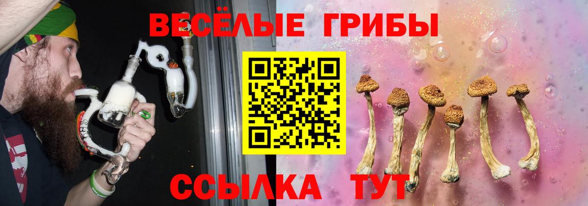 Псилоцибиновые грибы Psilocybe  Галлюциногенные грибы мухоморы  Вход с VPN  Красноярск 